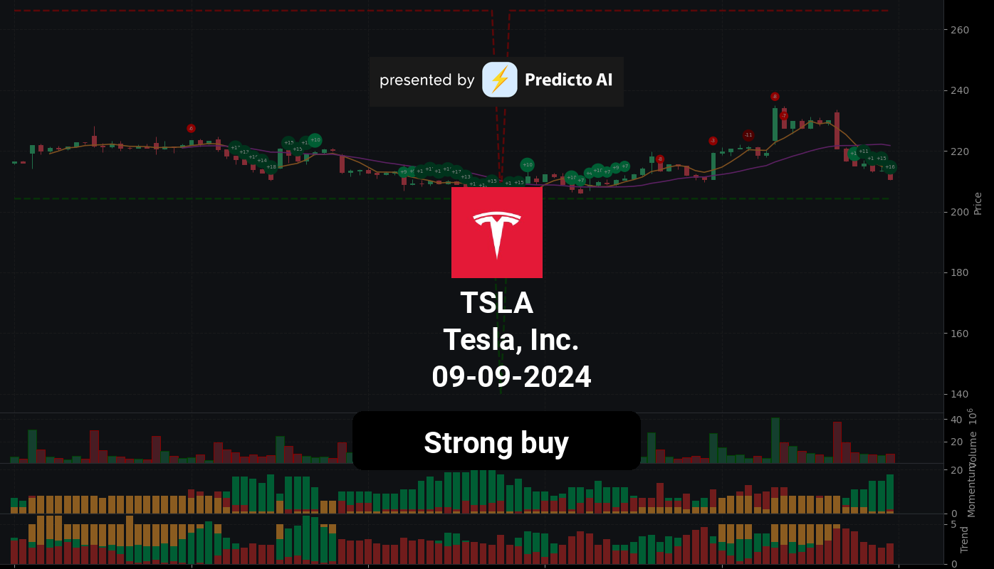 TSLA 09 09 2024