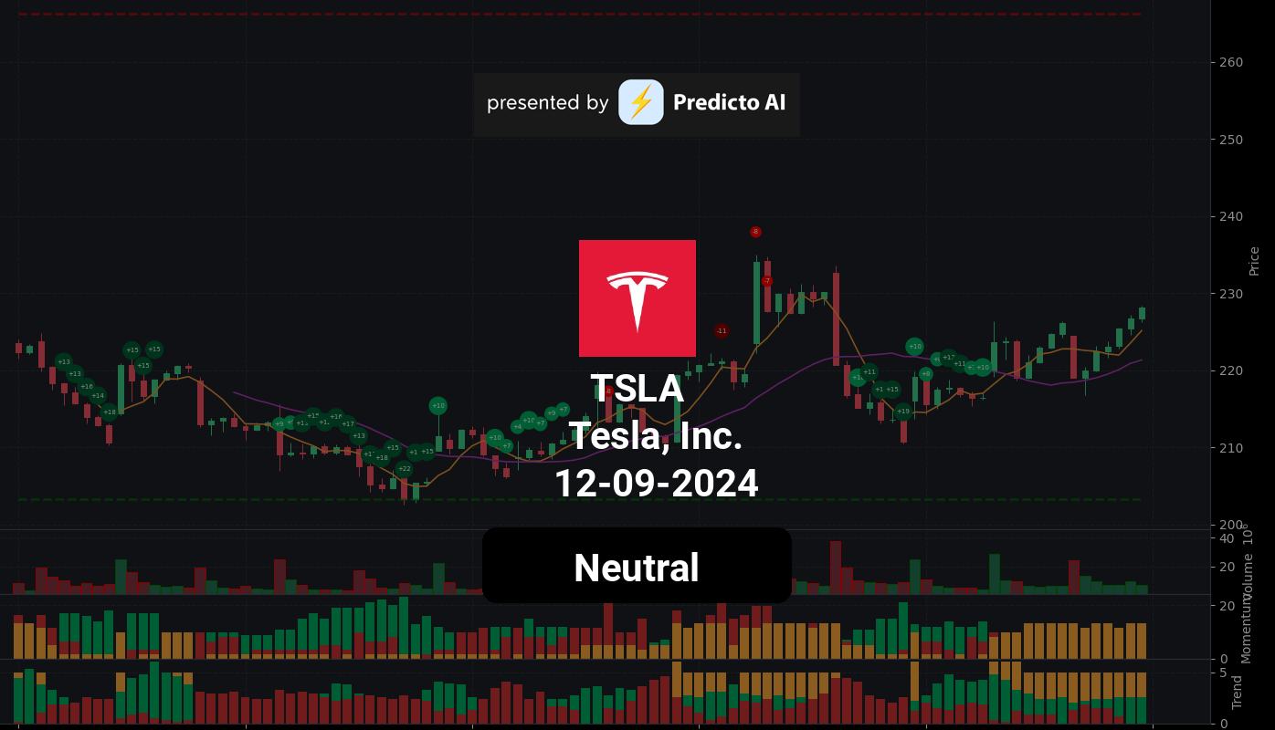 TSLA 12 09 2024